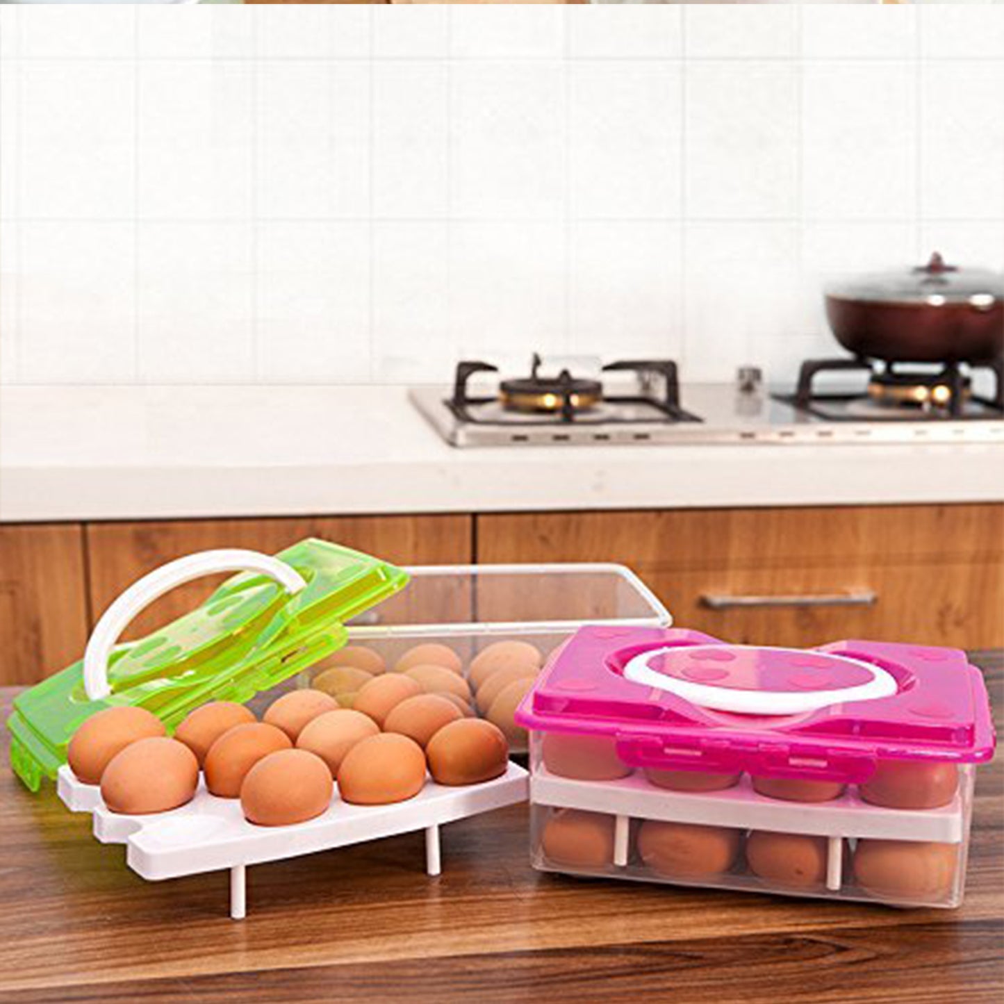 Egg Tray With Lid & Handle (1 Pc ) - warehousetech13