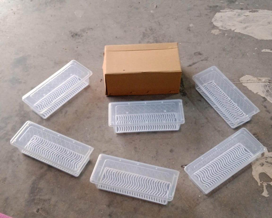 Vegetables Fruits Freezer Storage Container (Pack Of 6pc 1500ml) - warehousetech13
