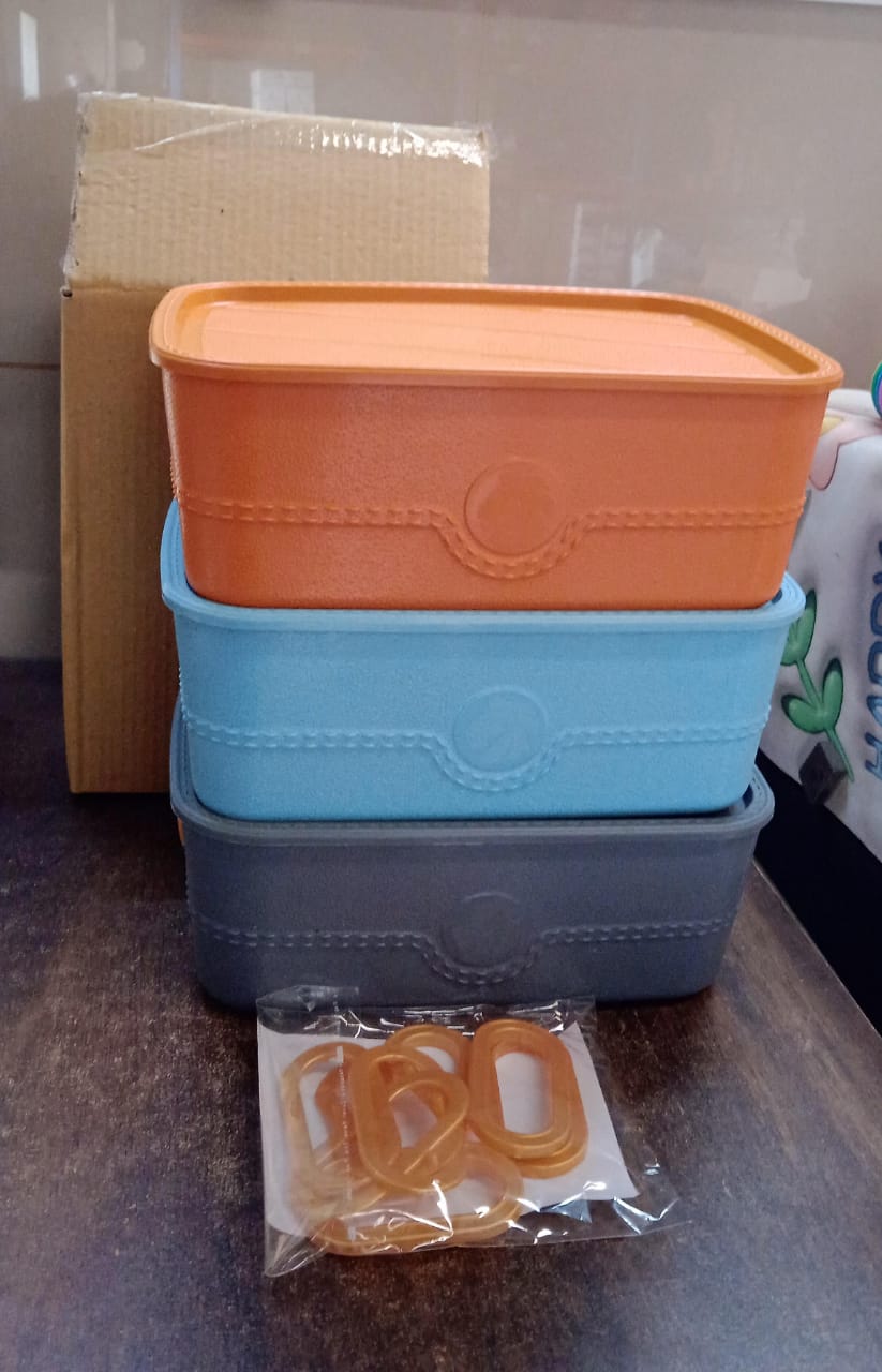Plastic Multipurpose Storage Basket Bin Set With Handle (3 Pcs Set) - warehousetech13