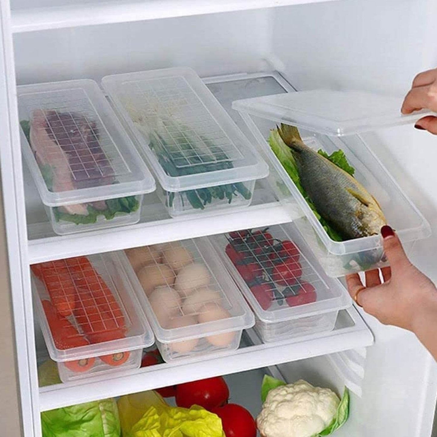 Vegetables Fruits Freezer Storage Container (Pack Of 6pc 1500ml) - warehousetech13