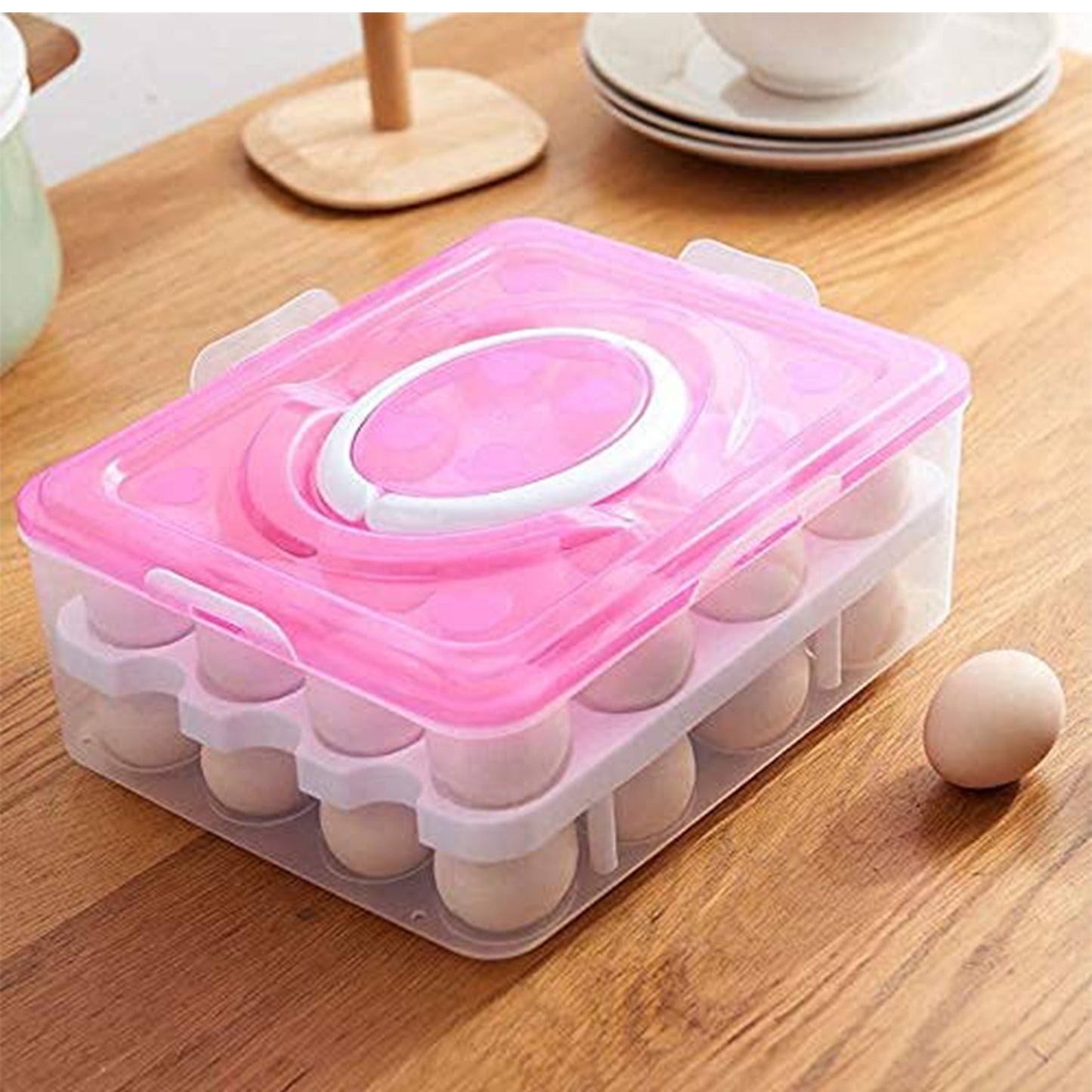 Egg Tray With Lid & Handle (1 Pc ) - warehousetech13