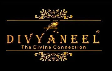 Divyaneel Collections - warehousetech13