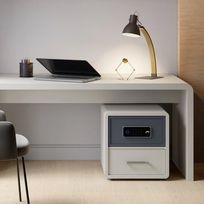 Godrej NX PRO Slide Digi + Bio 13L Home Locker