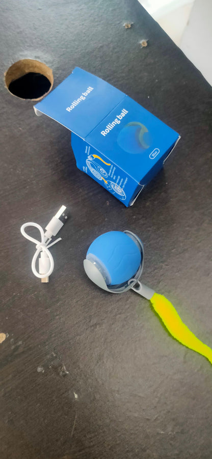 Rolling Ball Cat Toy - warehousetech13