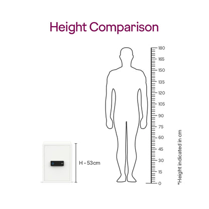 Godrej NX Pro 48L Luxe Home Locker (Digi + Bio)