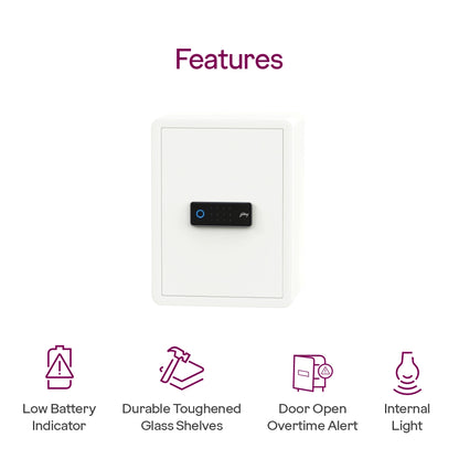 Godrej NX Pro 48L Luxe Home Locker (Digi + Bio)