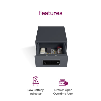 Godrej NX PRO Slide Digi + Bio 13L Home Locker