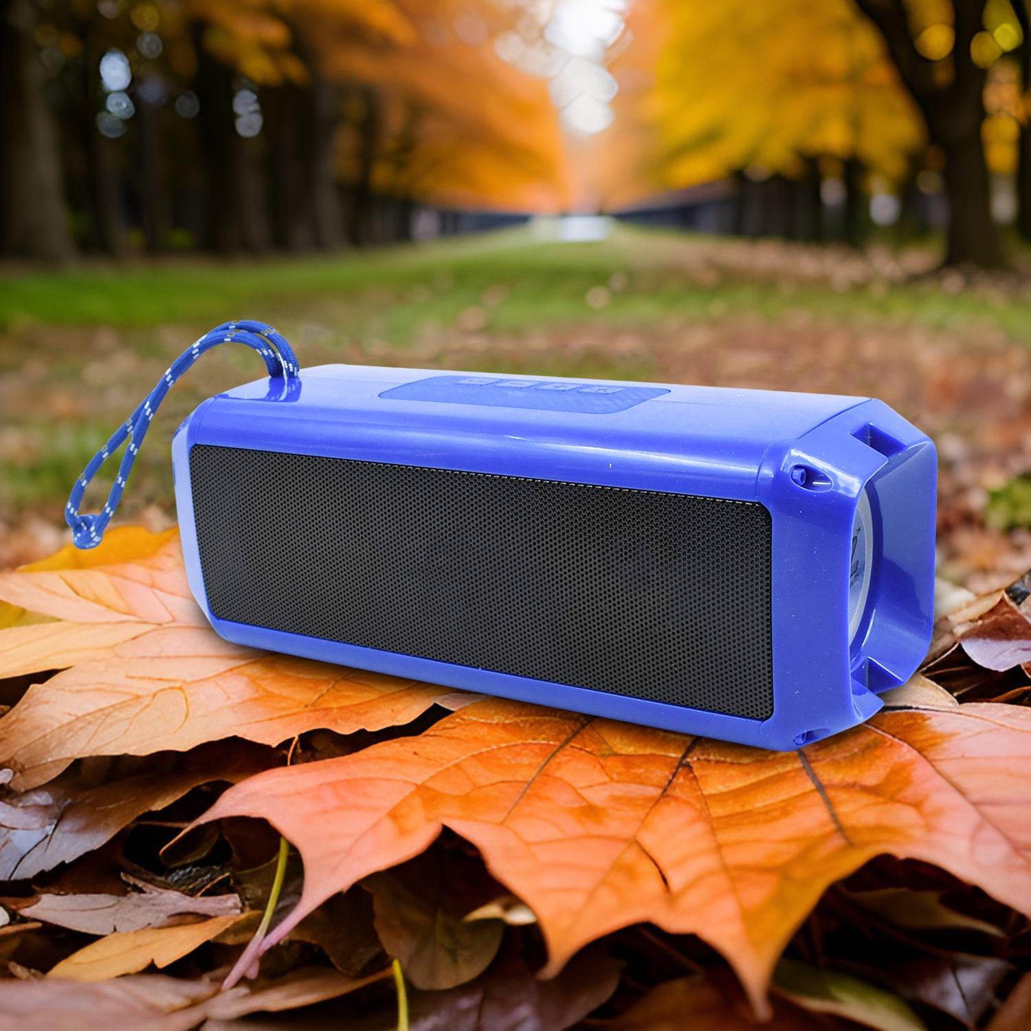 Portable Wireless Rechargeable Speaker Bluetooth Speaker (1 Pc) - warehousetech13