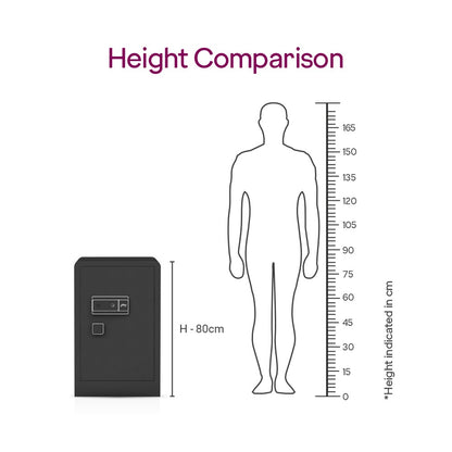 Godrej NX Advanced Digi+ Bio + Mechanical Home Locker
