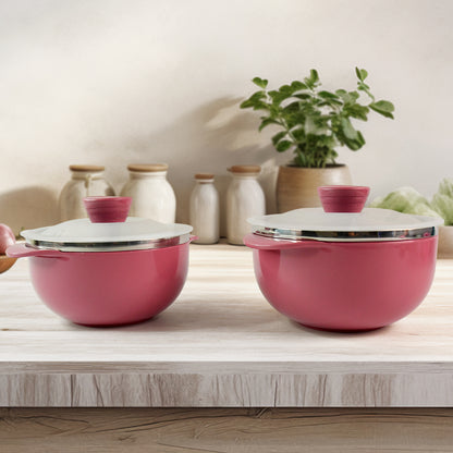 Apex Premium Plastic Serving Bowl Set With Lids (2 Pc) - warehousetech13