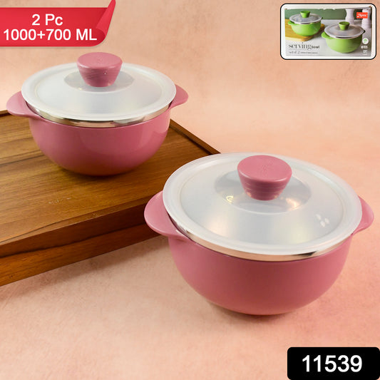 Apex Premium Plastic Serving Bowl Set With Lids (2 Pc) - warehousetech13